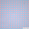 Vichy Gingham Little Sky & Pink (2303-6)