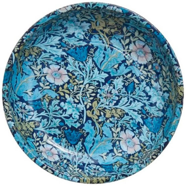 Plato Magnetico Blue Hobby Gift