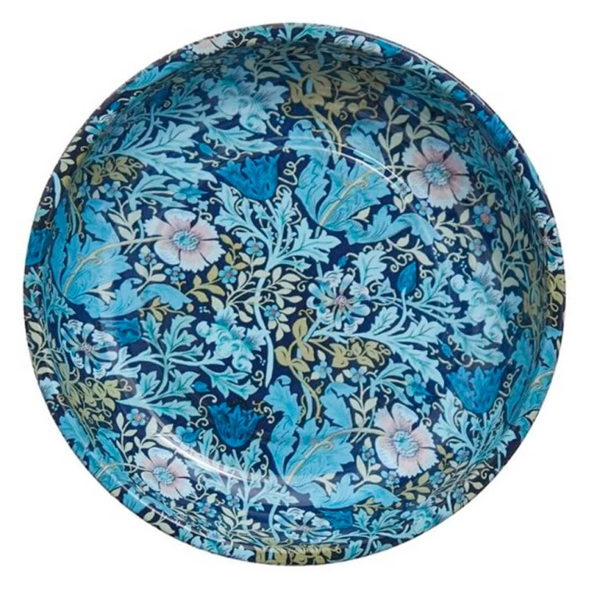 Plato Magnetico Blue Hobby Gift