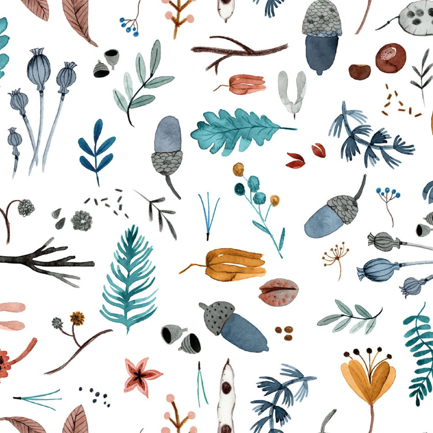 Tela Popelin Squirrel Forest P76