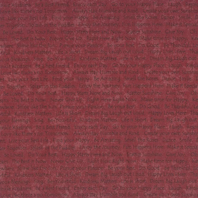 Tela Scrap Happy by Janet Red Nesbitt HG2617,58