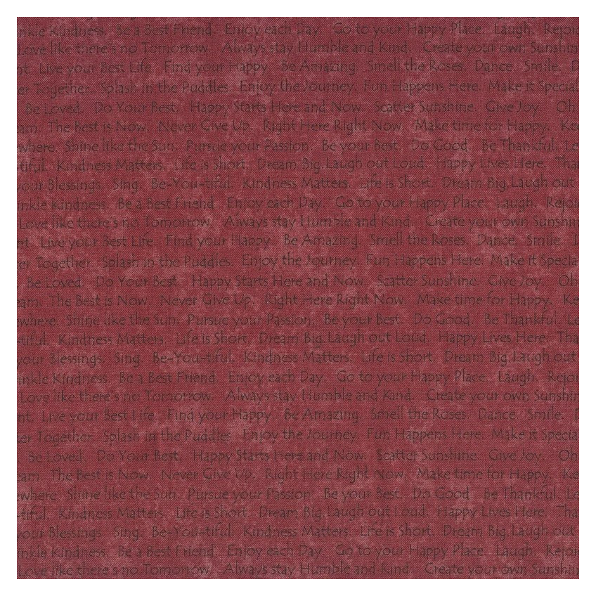 Tela Scrap Happy by Janet Red Nesbitt HG2617,58