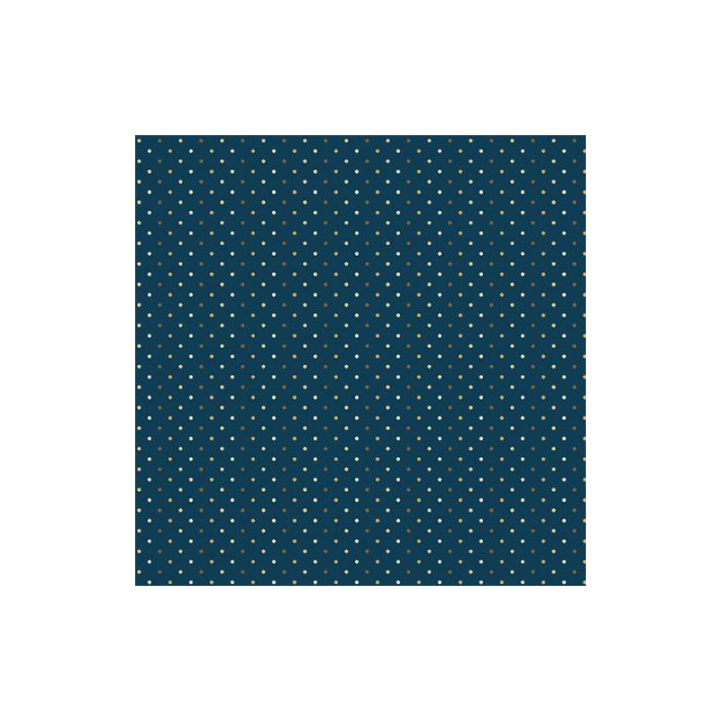 Tela Poppy Seeds by Edyta Sitar AD9464 B