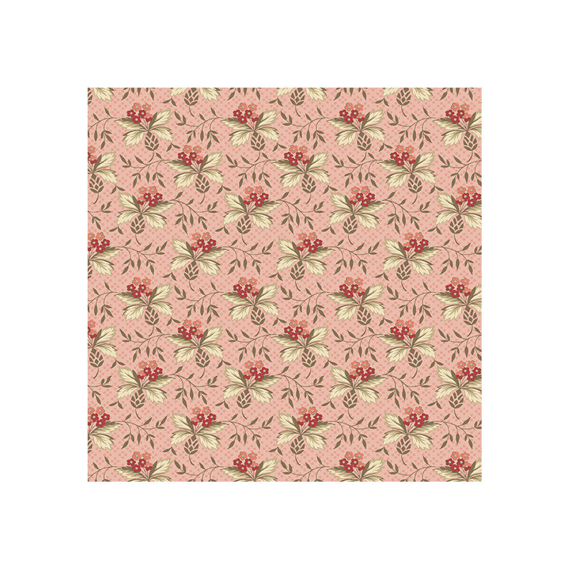 Tela Cocoa Pink by Edyta Sitar AD603E