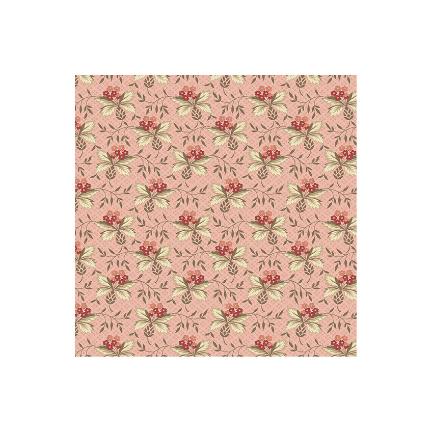 Tela Cocoa Pink by Edyta Sitar AD603E