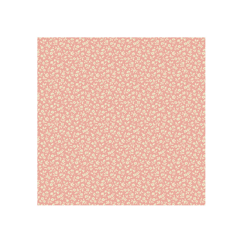 Tela Cocoa Pink by Edyta Sitar AD730E