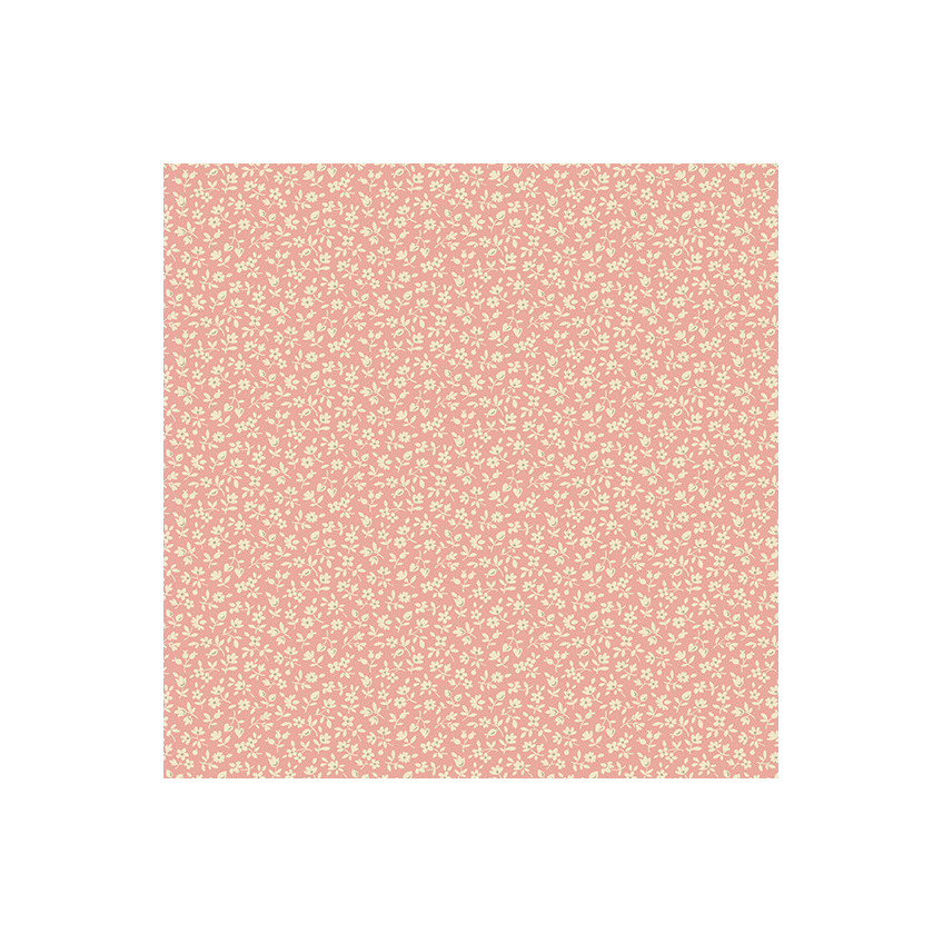 Tela Cocoa Pink by Edyta Sitar AD730E